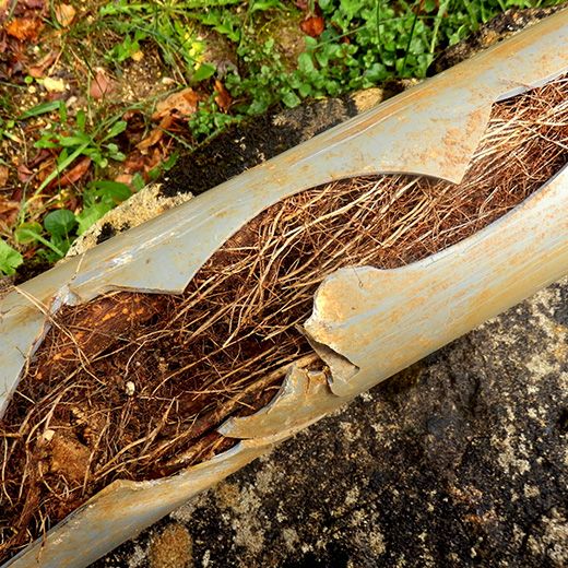 Same Day Drain Sewer & Rooter Pros Across Tamworth